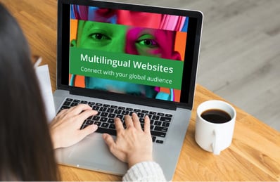Multilingual websites e-book